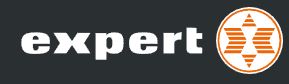 Expert