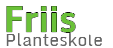 Friis Logo