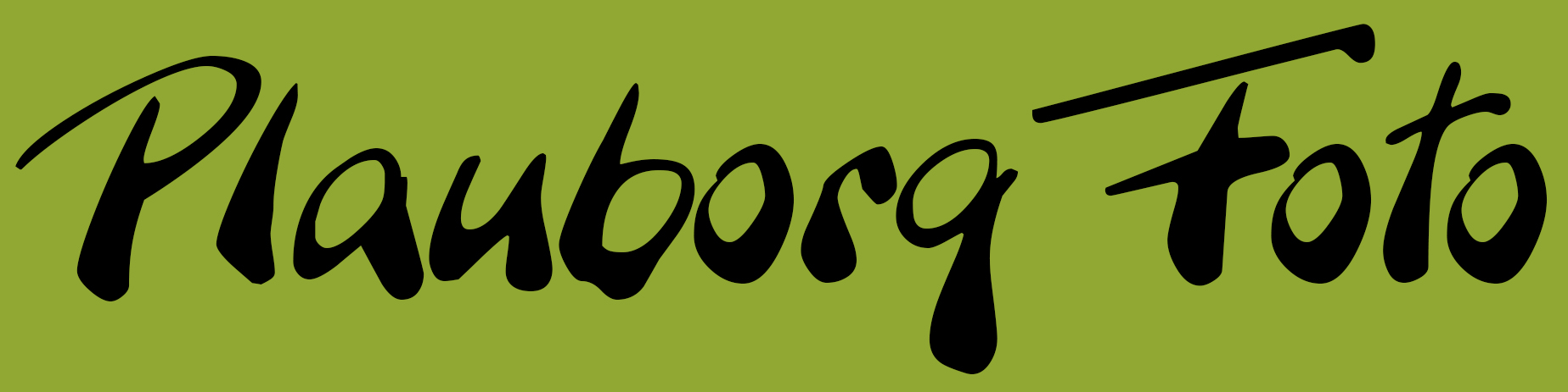 Plauborgfoto